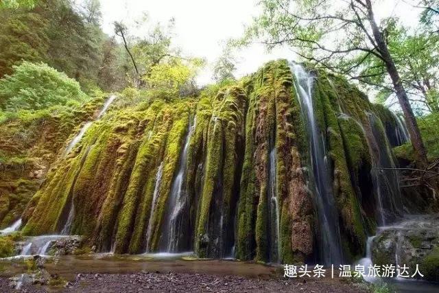 月光影视