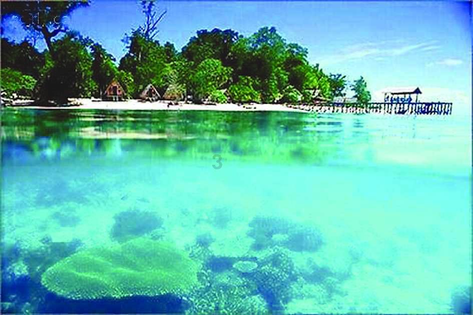 虫虫助手下载