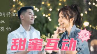 小猫钓鱼正版下载中文版