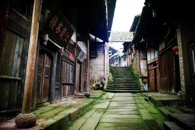 虫虫助手下载